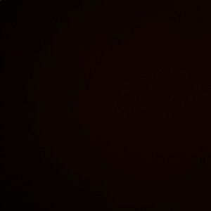 Meet your Posher, Leonardo